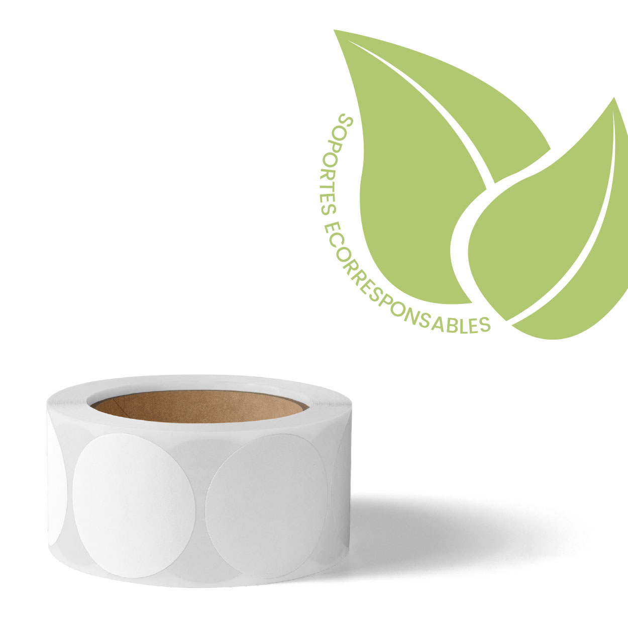 cane fiber papel