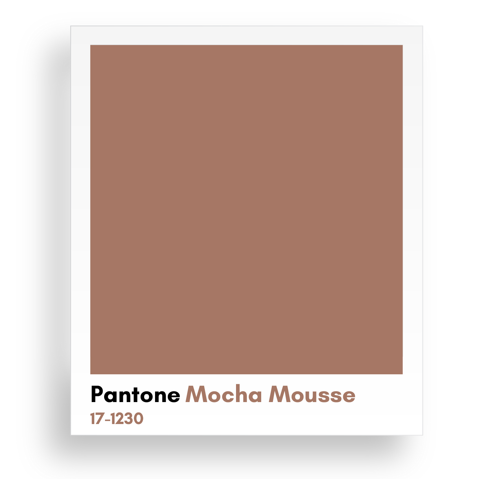 color pantone 2025​