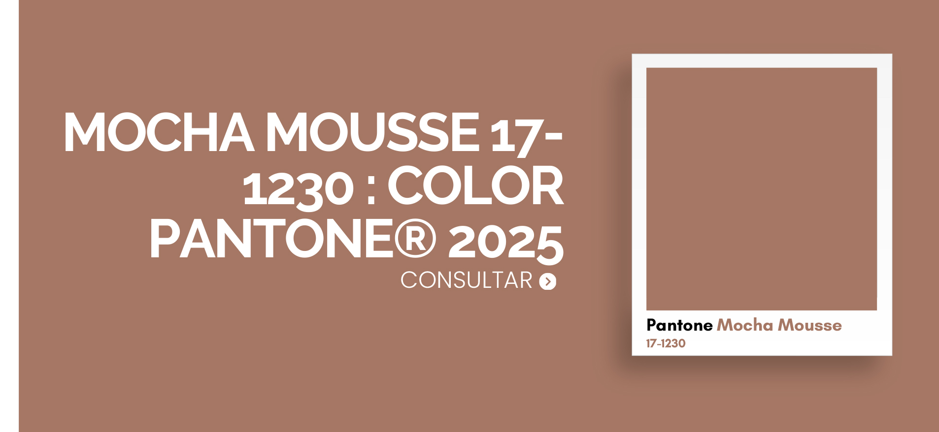 color pantone 2025​